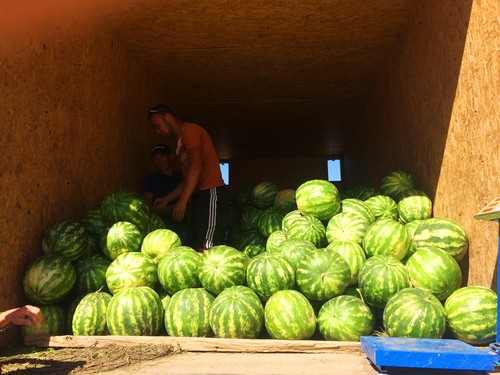Day 6: Local market