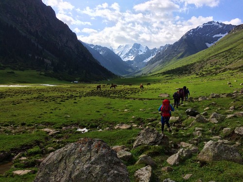Day 7: Hiking