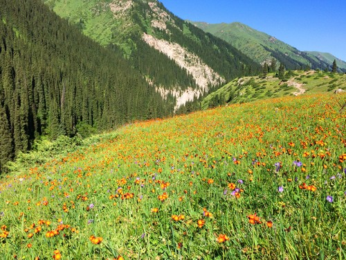 Day 10: Hiking